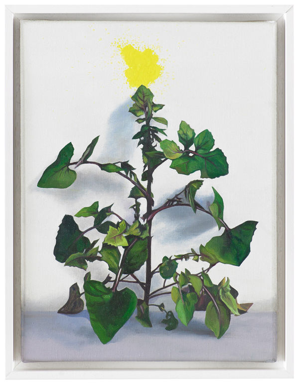 Karen Holländer, Fake, 2022