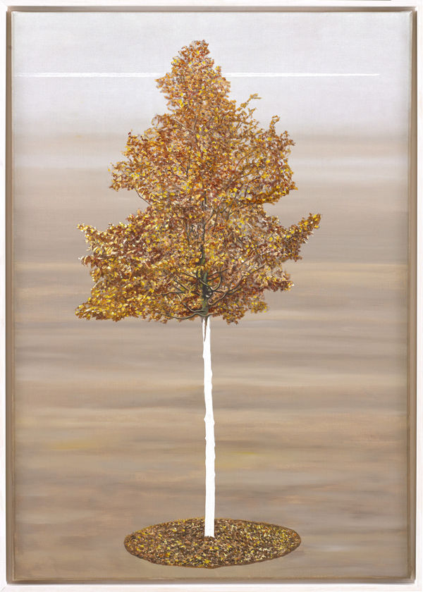 Karen Holländer, Einbaum 3, 2024