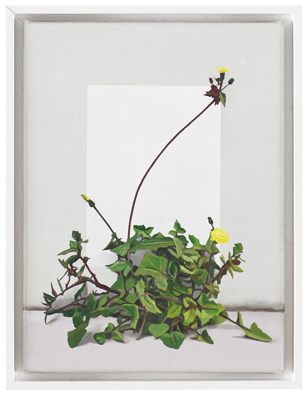 Karen Holländer, Über den Rand wachsen, 2022