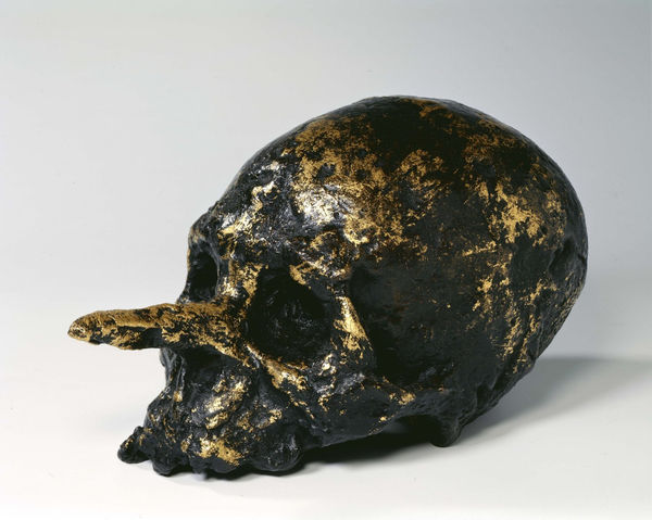 Miquel Barceló, Pinocchio mort, 1998