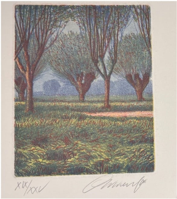 Oliviero Masi, Trees in a field