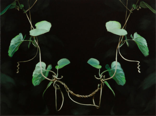 Markus Åkesson, In The Garden (Pipe Vine), 2023