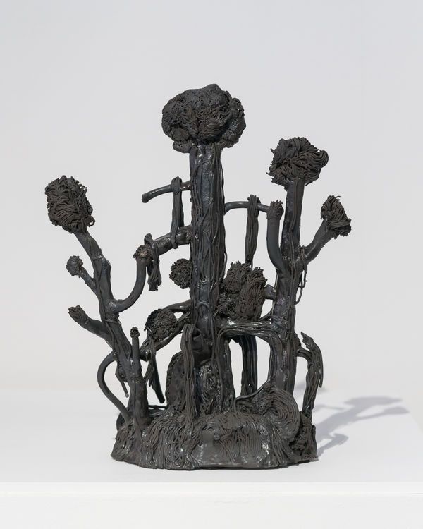 Carl Richard Söderström, Small Branches, 2026