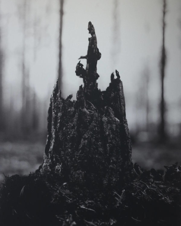 Lisa Wallert, Of Fire, 2021