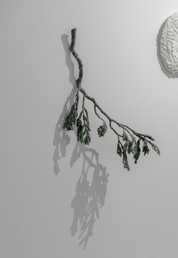 Ellen Ehk, The Limb, 2023