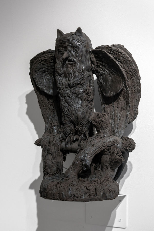 Carl Richard Söderström, Small Owl, 2026