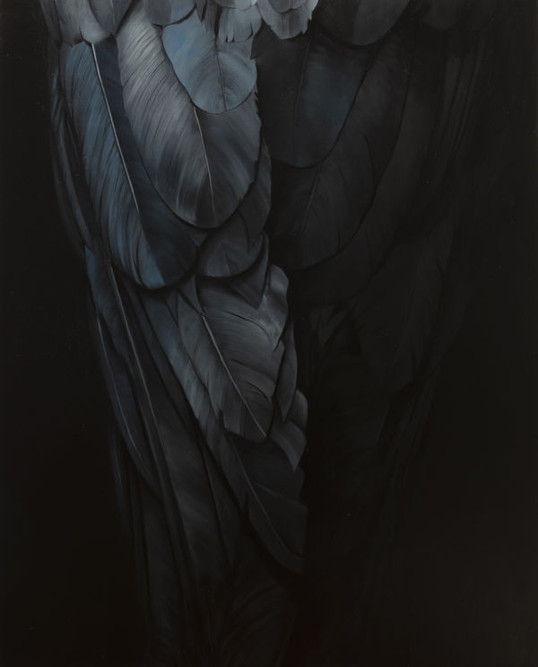 Markus Åkesson, Ornithomancy, 2020