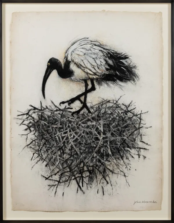 John Alexander, Sacred Ibis Nesting, 2025