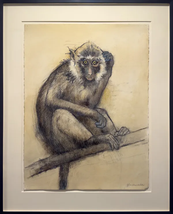 John Alexander Confused Simian, 2024 Charcoal, watercolor, and colored pencil 30 x 22 1/2 inches 76.2 x 57.1 cm Framed: 38 7/8 x 30 7/8 inches 98.7 x 78.4 cm