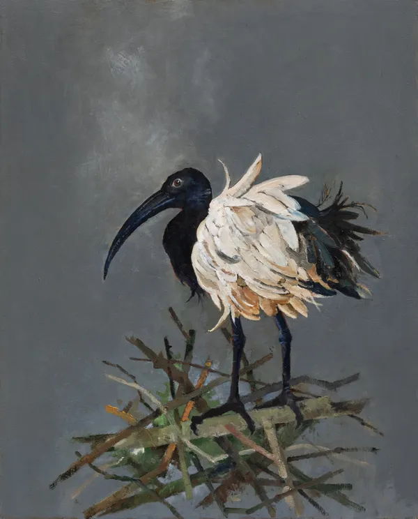 John Alexander, Sacred Ibis, 2026