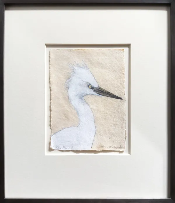 John Alexander, The Stare