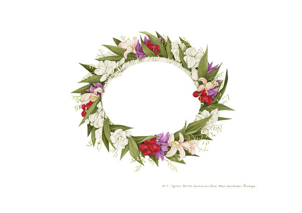 Tabatha Forbes, Plate 7. Cyclone Winston Fundraiser, Fresh. Maire Nui Gardens, Rarotonga, 2017