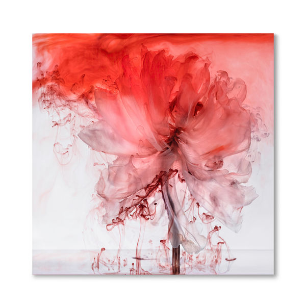 Kathrin Linkersdorff Fairies VI / 5, 2021 archival pigment print 110 x 110 cm Edition of 8 plus 2 artist's proofs
