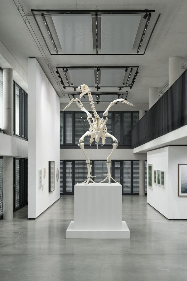 Andreas Greiner Monument of the 308 (1:8), 2017 3D print of x-ray scanned dead-found broiler chicken, polylactic acid, stainless steel 310 x 120 x 120 cm 4 + 1 AP
