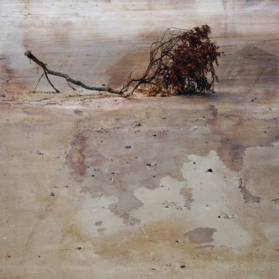 Troy Ruffels, Watersong, 2013