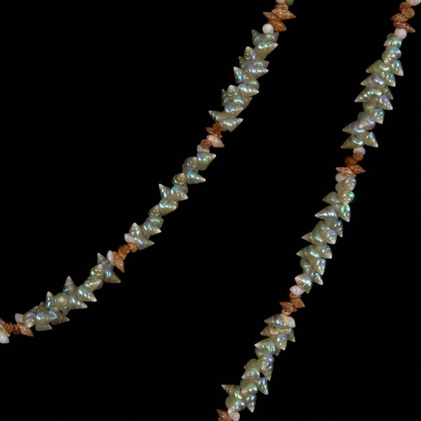 Aunty Jeanette James Palawa Shell Necklace, 2013 String sequence: 18 mariner, 1 toothie, 4 oat and 1 toothie shell 204cm