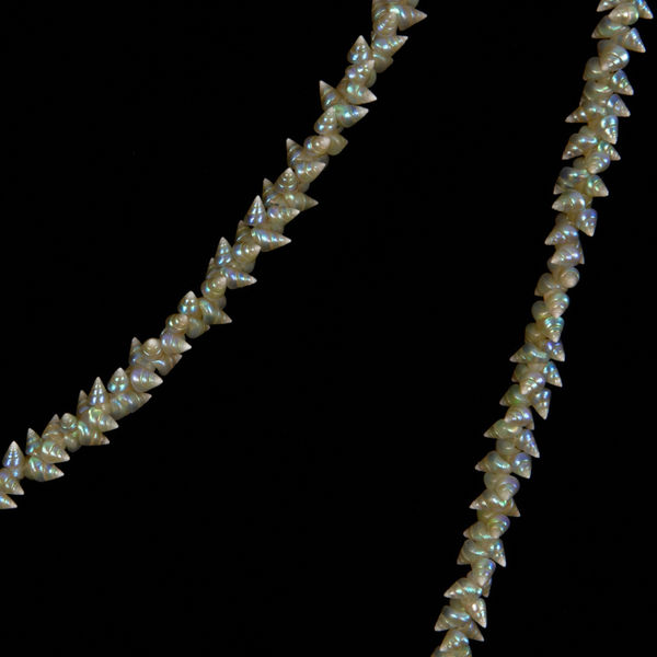Aunti Corrie Fullard (b.1931-) Palawa Shell Necklace, 2014 String sequence: Single species blue mariner shells 168cm
