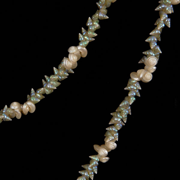 Aunti Corrie Fullard (b.1931-) Palawa Shell Necklace, 2014 String sequence: 20 mariner and 6 kelp shells 188cm