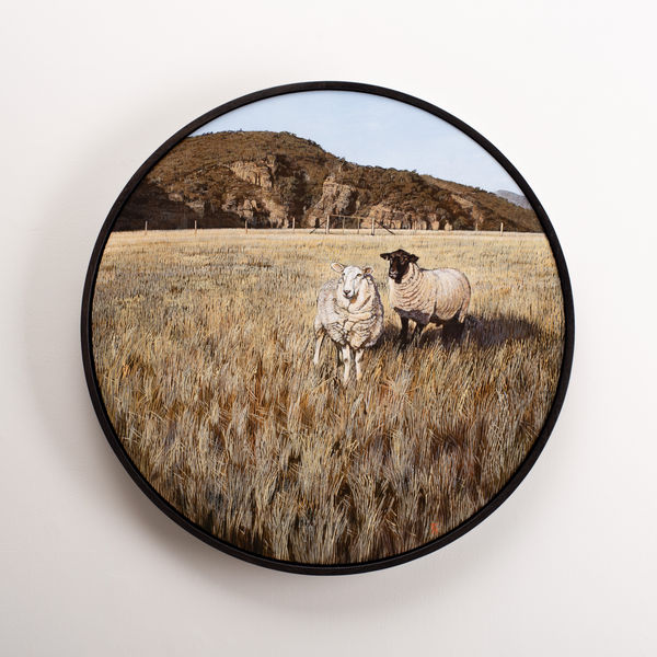 Stephanie Tabram Ewe and Ram, 2026 acrylic on board, framed 60 cm diameter (board size)