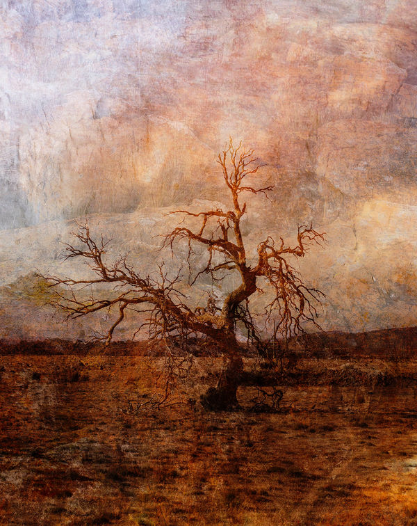 Troy Ruffels, Weathering, 2021