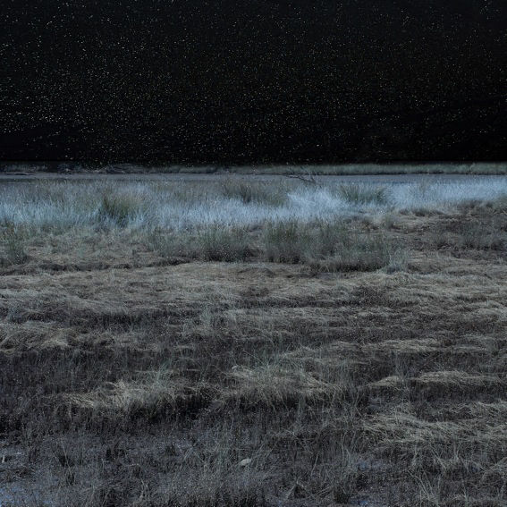 Troy Ruffels, Tundra, 2014