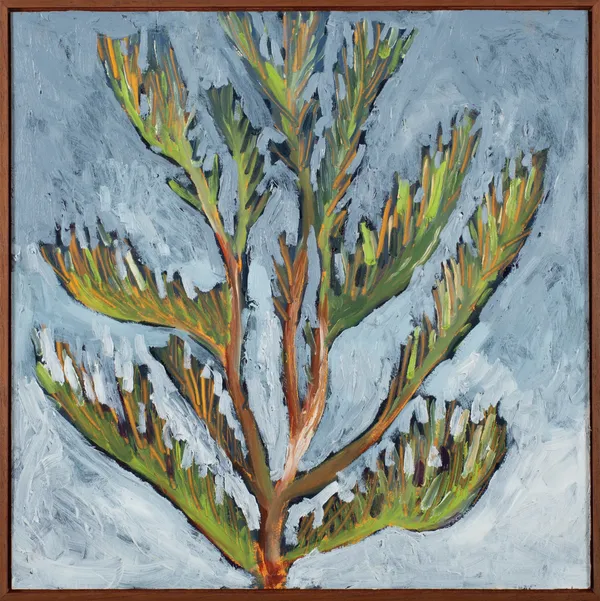 Leigh Rigozzi Dwarf She-Oak, 2026 oil on panel, framed 41.5 x 41.5 cm (frame size)