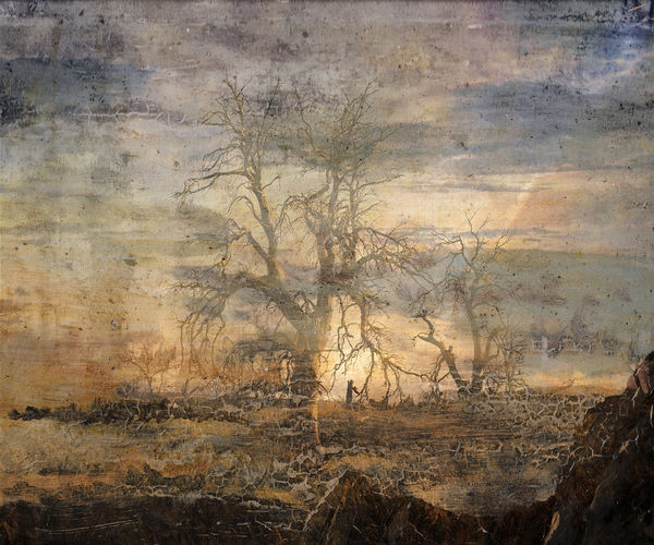 Troy Ruffels, Weathering - Bone fields, 2022