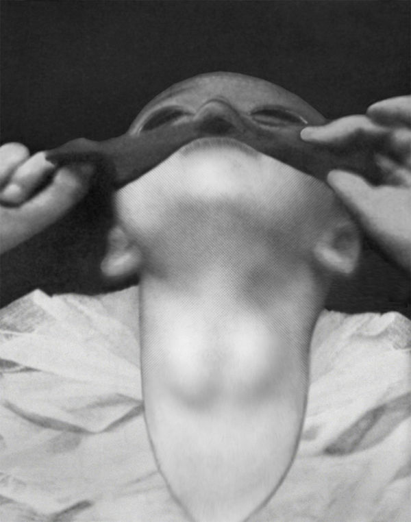Pat Brassington, Night Shade, 2014