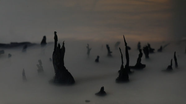 Rosie Hastie Storm in a teacup , 2019 digital video, 15 mins dimensions variable Edition of 5 plus 2 AP