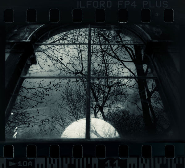 Jane Burton, It is Midnight, Dr._ _, image 1, 2016