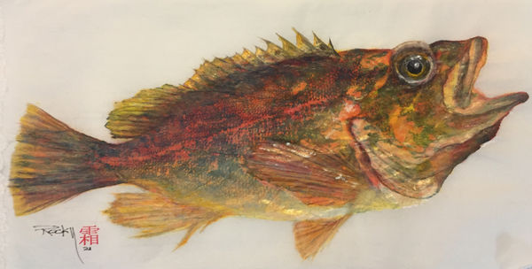 Rocky Frost, Copper Rockfish #2