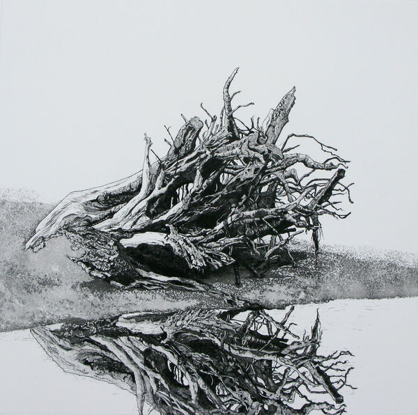 Marianne Ferm VPRE, Mersea Less II