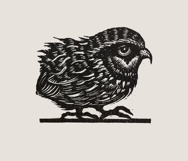 Brendan Hansbro ARE, Partridge