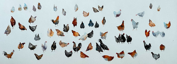 Myroslava Boikiv, Colourful Chickens