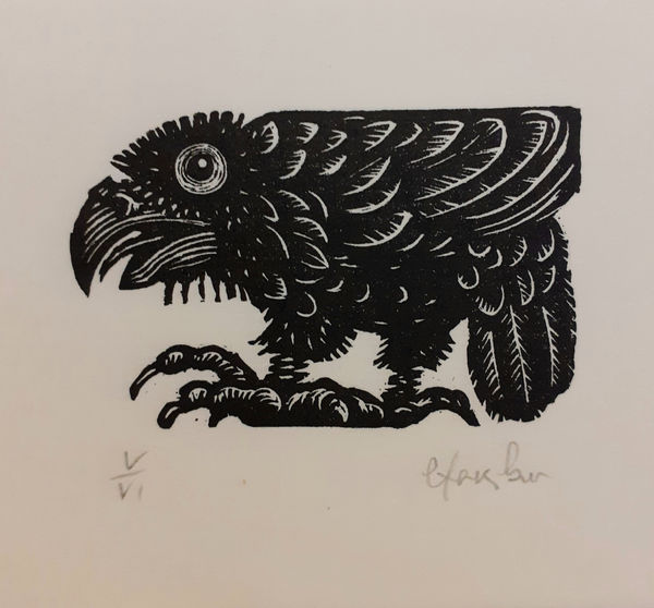 Brendan Hansbro ARE, Raven