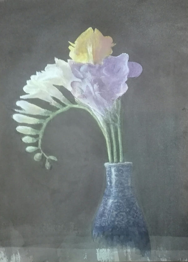 Cameron Galt RWS, Iridaceae