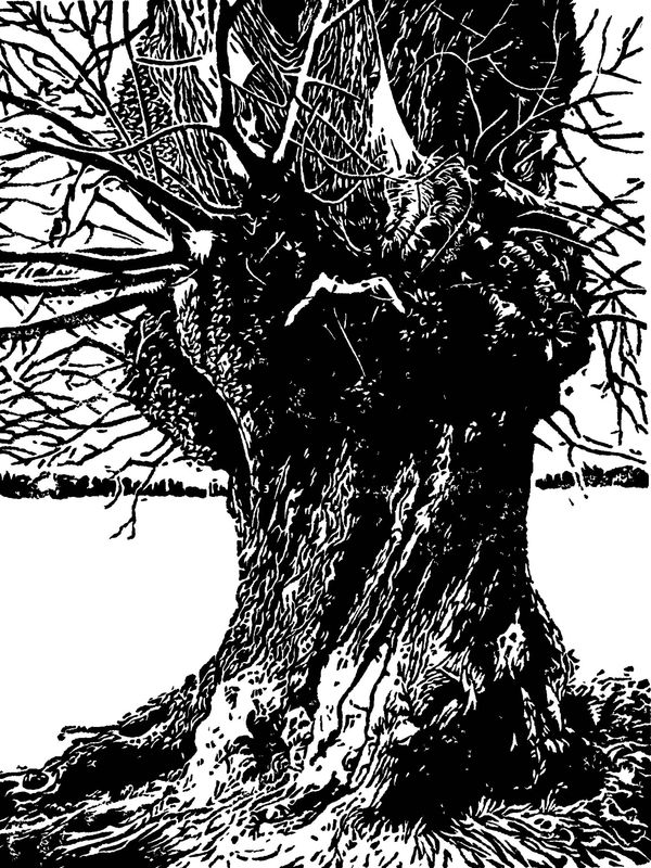 Blaze Cyan RE, Greenwich Park