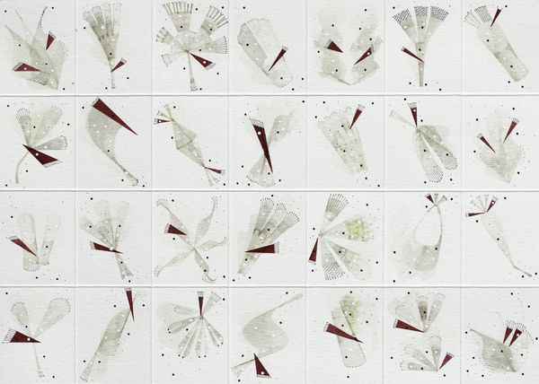 Rika Newcombe RWS, Florilegium I