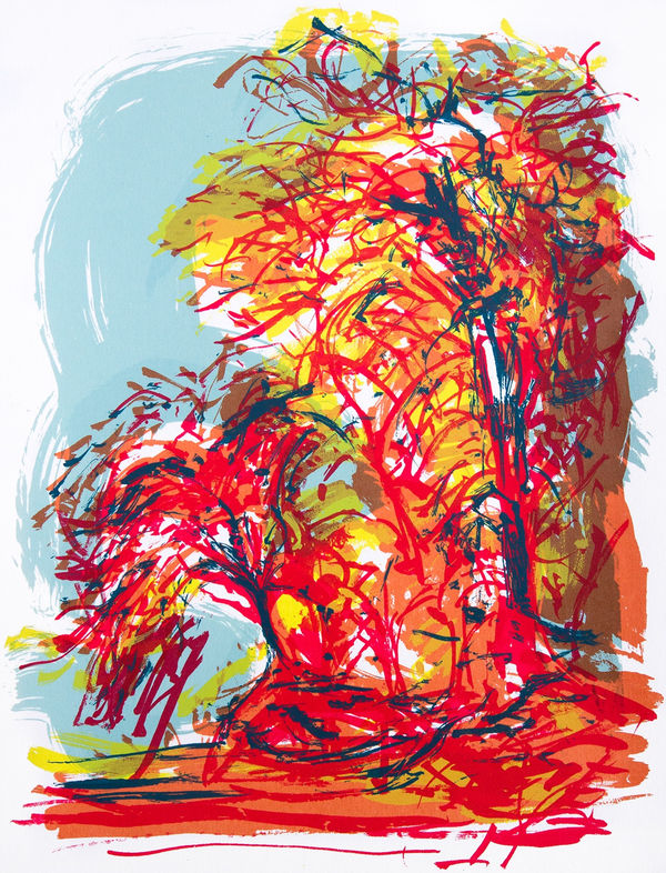 Denise Ballard-Wyllie ARE, Cherry Blossom Front: The Effervescences of Summer