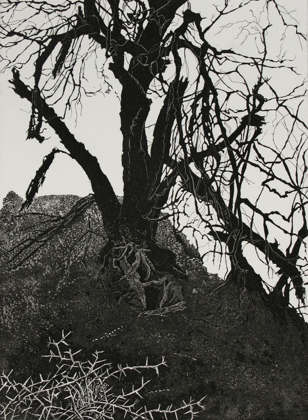 Marianne Ferm VPRE, Waiting for the Rains