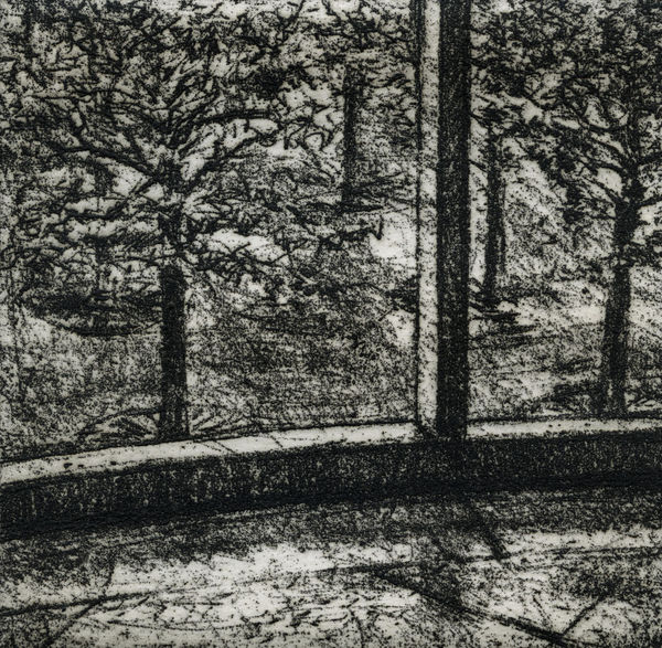 David Lintine ARE, Courtyard Trees 2