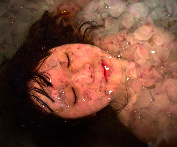 Codomo Giura Guest RE, Sakura