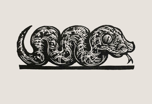 Brendan Hansbro ARE, Snake