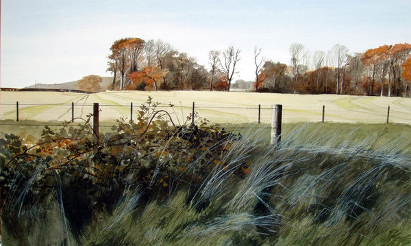 Jim Dunbar RWS, Roadside Brambles
