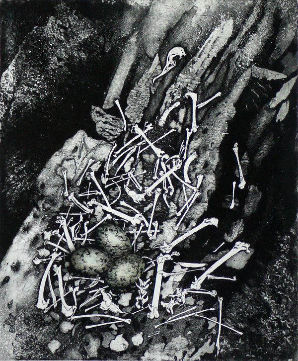 Julia Manning RE, The Gothercatcher's Nest