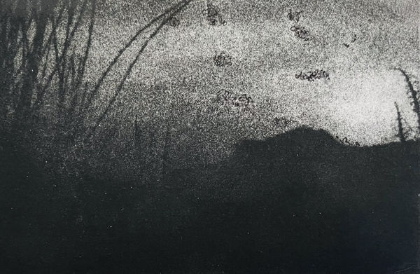 Brie Barnacle Guest RE, Hope Rising