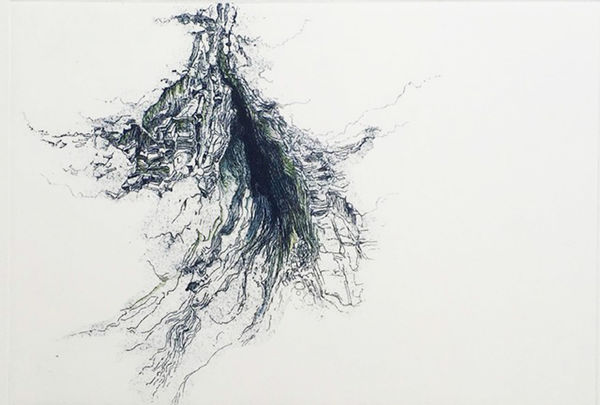 Marianne Ferm VPRE, Coast