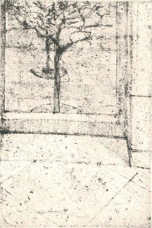 David Lintine ARE, Courtyard Tree