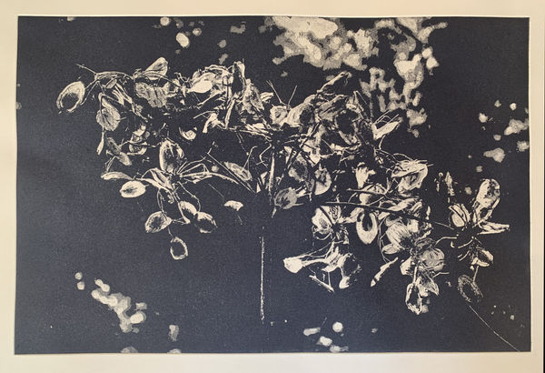 Wai Wong ARE, Focal Bloom