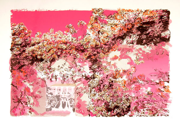 Denise Ballard-Wyllie ARE, Into The Renaissance Rose Garden